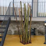 Quinta Da Costa *