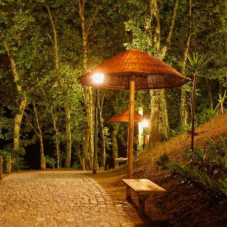 Quinta Da Costa * Vila da Lixa